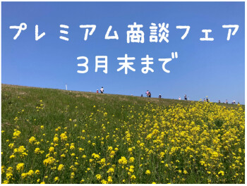 ✿プレミアム商談フェア✿　間もなく終了！
