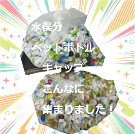 いよいよ全店舗回収直前！！水俣計測してみた！！