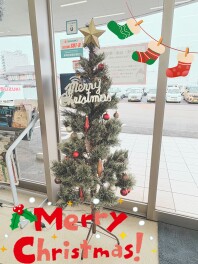 クリスマスツリー見ていきませんか？(´ω｀*)
