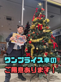 展示会開催！ワンプライス車続々登場！