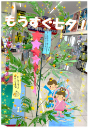 今日から７月！そして土日はスズキの日
