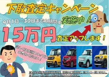 ＼　下取査定キャンペーン実施中！　／