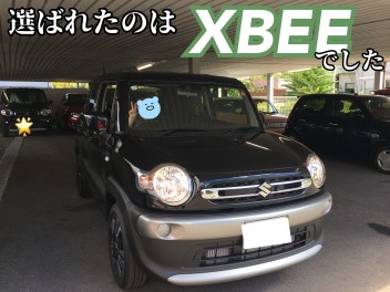 選ばれたのはXBEEでした