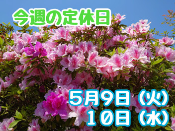 ※今週の定休日※