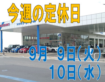 今週の定休日