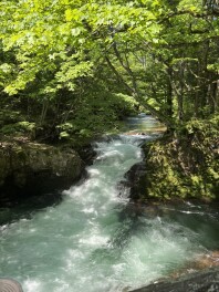 ブログ更新！！