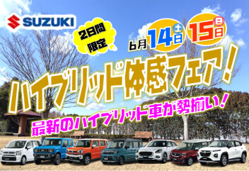 ハイブリッド体感フェア