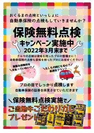 任意保険無料点検キャンペーン♪