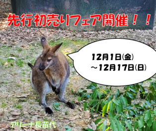 １２月１日(金)からは『先行初売り誕生フェア』