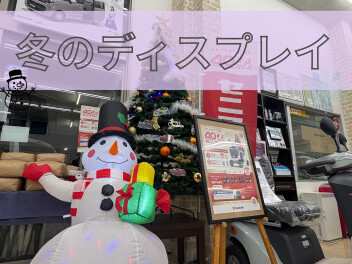 クロスビーのクリスマスツリーが登場です！！