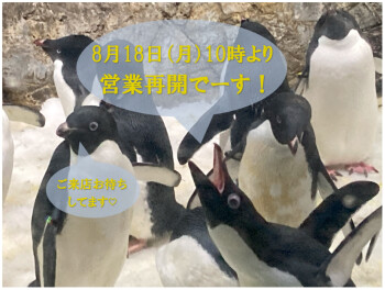 営業再開のお知らせ