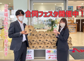合同フェスタ開催中です!!!!!
