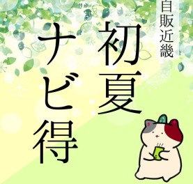 【期間限定】初夏のナビ得でっせキャンペーン実施中！