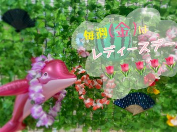 すっかり夏仕様です☆