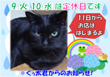 定休日のお知らせ！