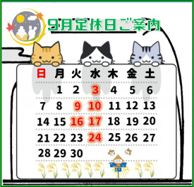 9月定休日のお知らせ！