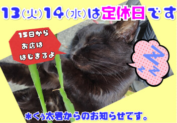 定休日のお知らせ！