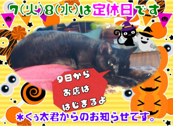 定休日のおしらせ！