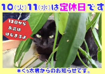 定休日のお知らせ！
