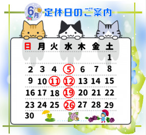 ６月定休日のおしらせ！！