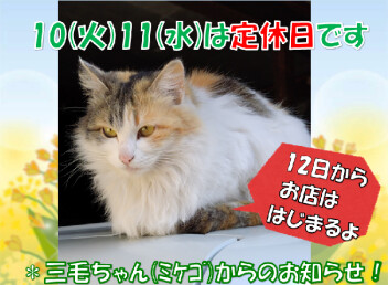 定休日のおしらせ！
