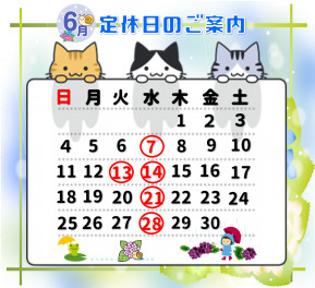 ６月定休日のおしらせ！！