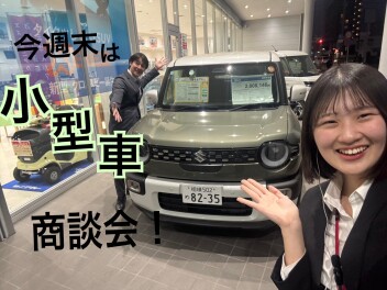 今週末は小型車商談会！！