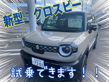 １1月最後の展示会