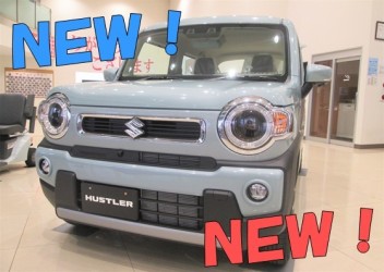 新しい展示車入りました('ω')！！