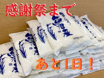 あと１日！ 感謝祭でお待ちしています♪♪