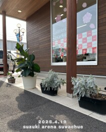 植物も元気に！