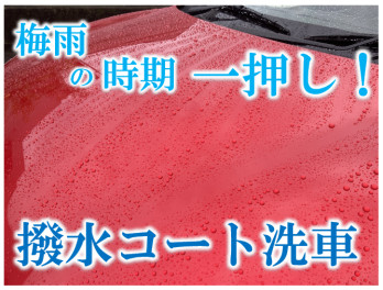 出逢えて良かった！撥水コート洗車