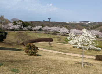 お出かけの季節です～♪