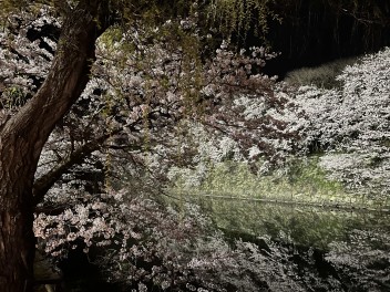 アリーナ近江八幡オススメ中古車の巻(^_-)-☆