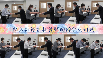 新入社員、正規登用されました✧˖°⌖