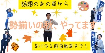 勢揃いの秋、やってます