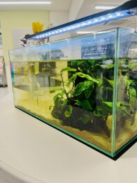 スズキアリーナ羽犬塚に寄ったら見てみてね