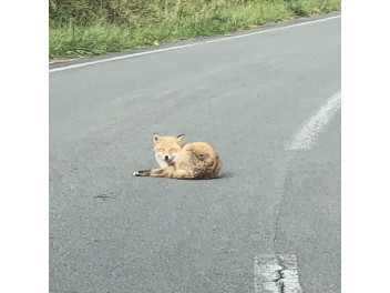 三次は寒くなりました！
