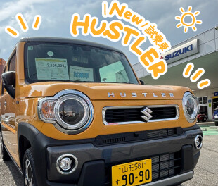 新しい試乗車がきました！！！