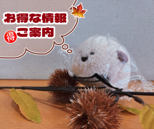 オトクな季節です。