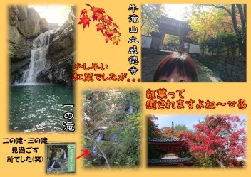 2019★紅葉★