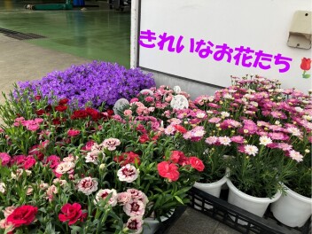 ＊　明日からイベント！ご来店をお待ちしております！　＊