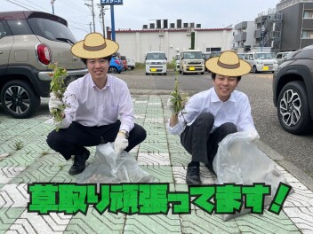 草取り