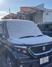 ゆき！雪！