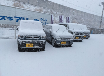 やしろも雪がふりました！