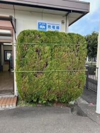 冬支度