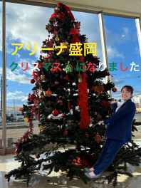 ショールームをクリスマス仕様に★