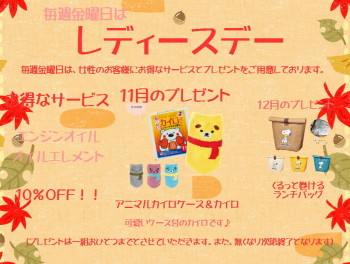 11月レディースデーのお知らせ♪