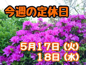 ※今週の定休日のご案内※