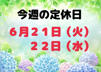 ※今週の定休日※